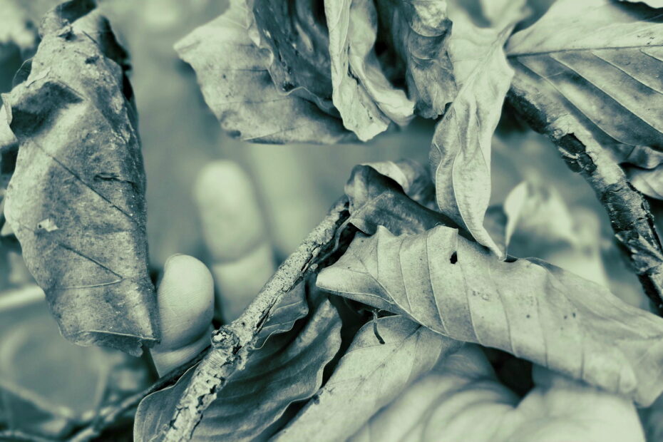 opadło na nią nagle